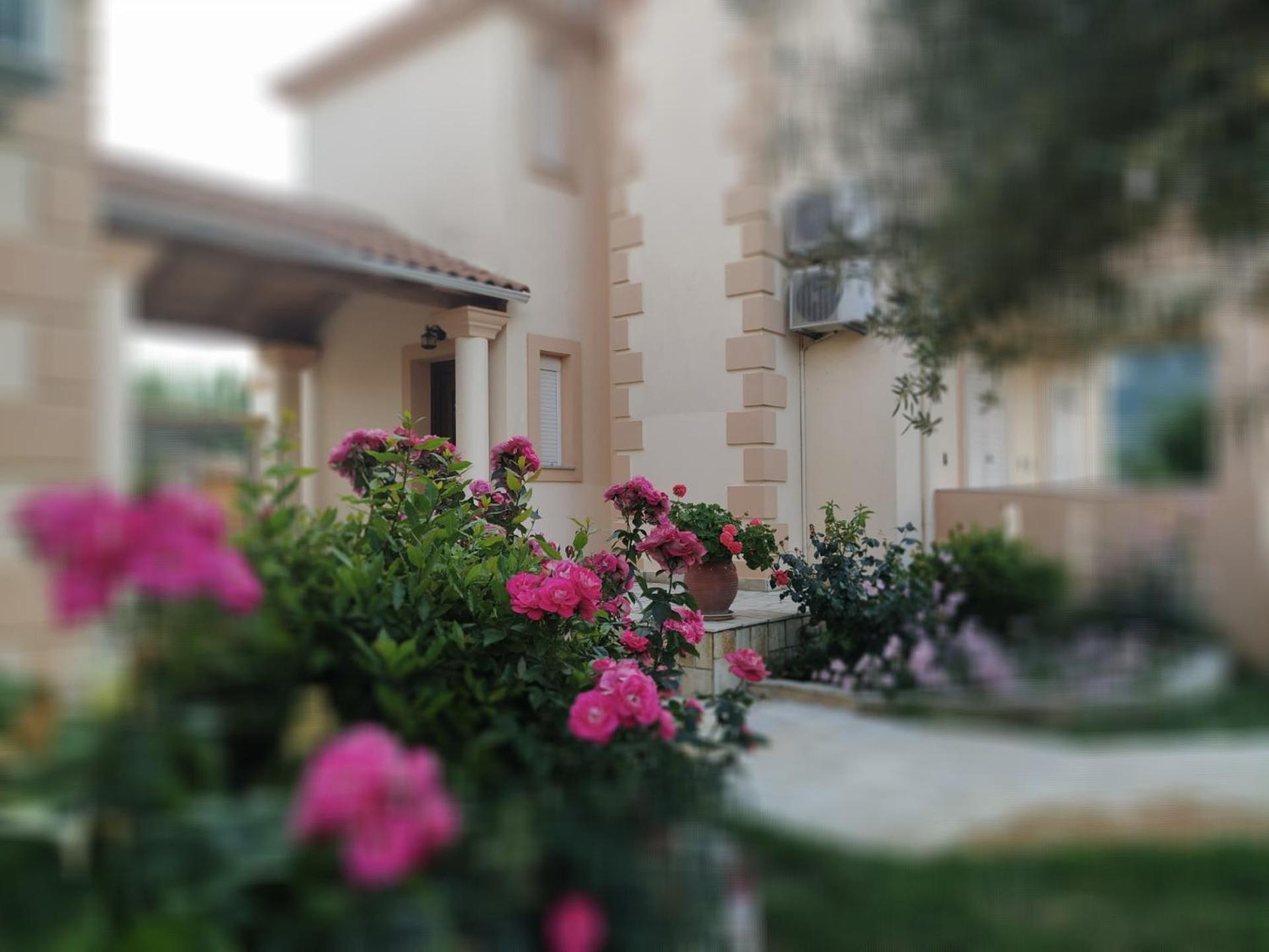 ואסיליקי Villa Agrilida מראה חיצוני תמונה